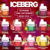 Купить Iceberg Mini Plus 1000 затяжек - Черная малина